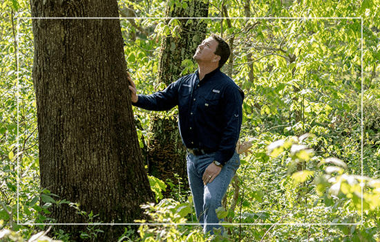 TWB Sustainability Commitment