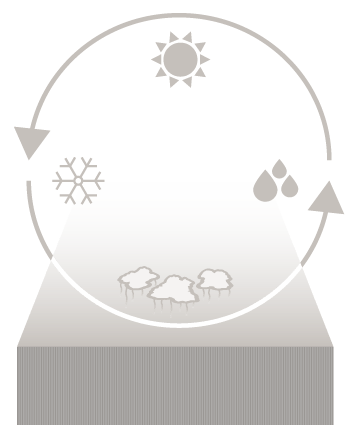 Natural Seasoning Cycle for Special Reserve Staves